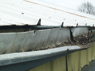 old-gutters